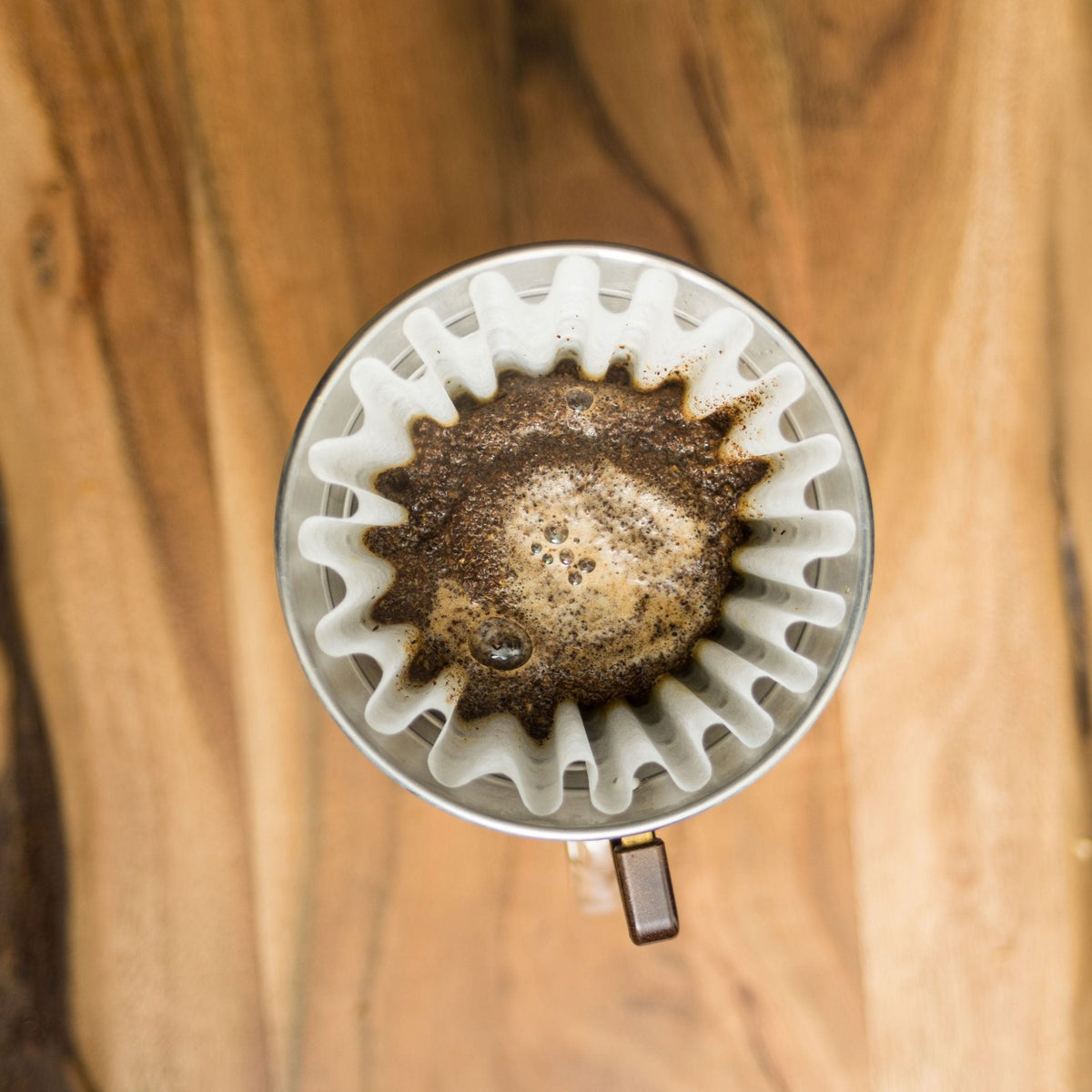 Top-down view of coffee grounds blooming in a wave paper filter inside a Kalita Wave 185 dripper; filters not included.